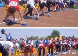 世界棒球经典赛数据分析平台上线